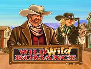 Wild Wild Romance screenshot